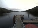 ./images/calvert/dock/20200210/dock20200210_153902.jpg
