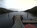 ./images/calvert/dock/20200210/dock20200210_154202.jpg