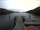 ./images/calvert/dock/20200210/dock20200210_154302.jpg