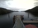 ./images/calvert/dock/20200210/dock20200210_155201.jpg
