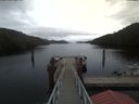 ./images/calvert/dock/20200210/dock20200210_155401.jpg
