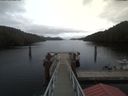./images/calvert/dock/20200210/dock20200210_155501.jpg