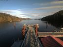 ./images/calvert/dock/20200211/dock20200211_152502.jpg