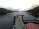 ./images/calvert/dock/20200213/dock20200213_151004.jpg