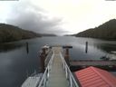 ./images/calvert/dock/20200213/dock20200213_155501.jpg