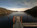 ./images/calvert/dock/20200219/dock20200219_152502.jpg