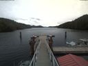 ./images/calvert/dock/20200309/dock20200309_152002.jpg