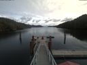 ./images/calvert/dock/20200312/dock20200312_125503.jpg