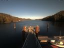 ./images/calvert/dock/20200401/dock20200401_175003.jpg