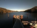 ./images/calvert/dock/20200401/dock20200401_175503.jpg