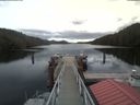 ./images/calvert/dock/20200406/dock20200406_122501.jpg