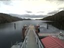 ./images/calvert/dock/20200406/dock20200406_123004.jpg