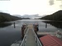 ./images/calvert/dock/20200406/dock20200406_125504.jpg