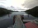 ./images/calvert/dock/20200406/dock20200406_133504.jpg