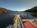 ./images/calvert/dock/20200407/dock20200407_134504.jpg