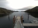 ./images/calvert/dock/20200414/dock20200414_132504.jpg