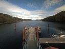 ./images/calvert/dock/20200414/dock20200414_165501.jpg