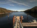 ./images/calvert/dock/20200415/dock20200415_153004.jpg