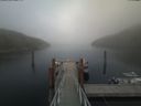 ./images/calvert/dock/20200416/dock20200416_175504.jpg