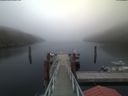 ./images/calvert/dock/20200416/dock20200416_202004.jpg