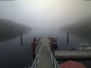 ./images/calvert/dock/20200416/dock20200416_202502.jpg