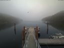 ./images/calvert/dock/20200418/dock20200418_184501.jpg