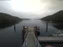 ./images/calvert/dock/20200419/dock20200419_152004.jpg