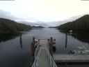 ./images/calvert/dock/20200420/dock20200420_194003.jpg