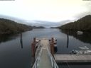 ./images/calvert/dock/20200420/dock20200420_201004.jpg