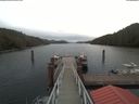 ./images/calvert/dock/20200421/dock20200421_121504.jpg