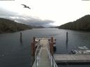 ./images/calvert/dock/20200421/dock20200421_183004.jpg