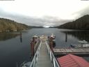 ./images/calvert/dock/20200423/dock20200423_135004.jpg