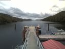 ./images/calvert/dock/20200424/dock20200424_142504.jpg