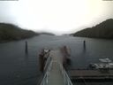 ./images/calvert/dock/20200426/dock20200426_075504.jpg