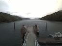 ./images/calvert/dock/20200426/dock20200426_082003.jpg
