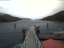 ./images/calvert/dock/20200426/dock20200426_160504.jpg
