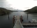 ./images/calvert/dock/20200427/dock20200427_120501.jpg