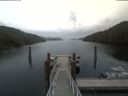 ./images/calvert/dock/20200429/dock20200429_124501.jpg