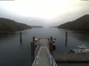 ./images/calvert/dock/20200429/dock20200429_135002.jpg