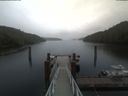 ./images/calvert/dock/20200429/dock20200429_142501.jpg