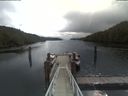 ./images/calvert/dock/20200430/dock20200430_103502.jpg