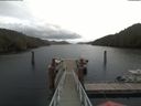 ./images/calvert/dock/20200503/dock20200503_133004.jpg