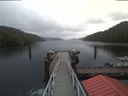 ./images/calvert/dock/20200506/dock20200506_123504.jpg