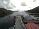 ./images/calvert/dock/20200506/dock20200506_125004.jpg