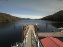 ./images/calvert/dock/20200507/dock20200507_141504.jpg
