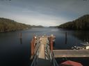 ./images/calvert/dock/20200507/dock20200507_164003.jpg