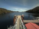 ./images/calvert/dock/20200508/dock20200508_142002.jpg
