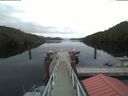 ./images/calvert/dock/20200512/dock20200512_055502.jpg
