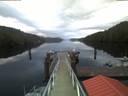 ./images/calvert/dock/20200513/dock20200513_054001.jpg