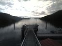 ./images/calvert/dock/20200515/dock20200515_080504.jpg
